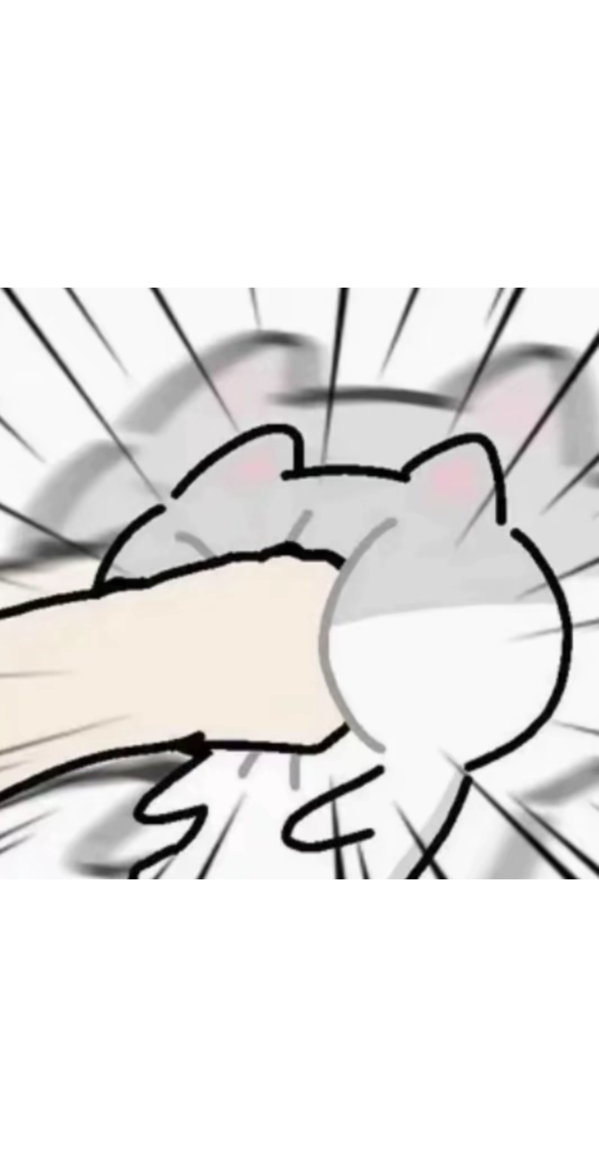 成员1